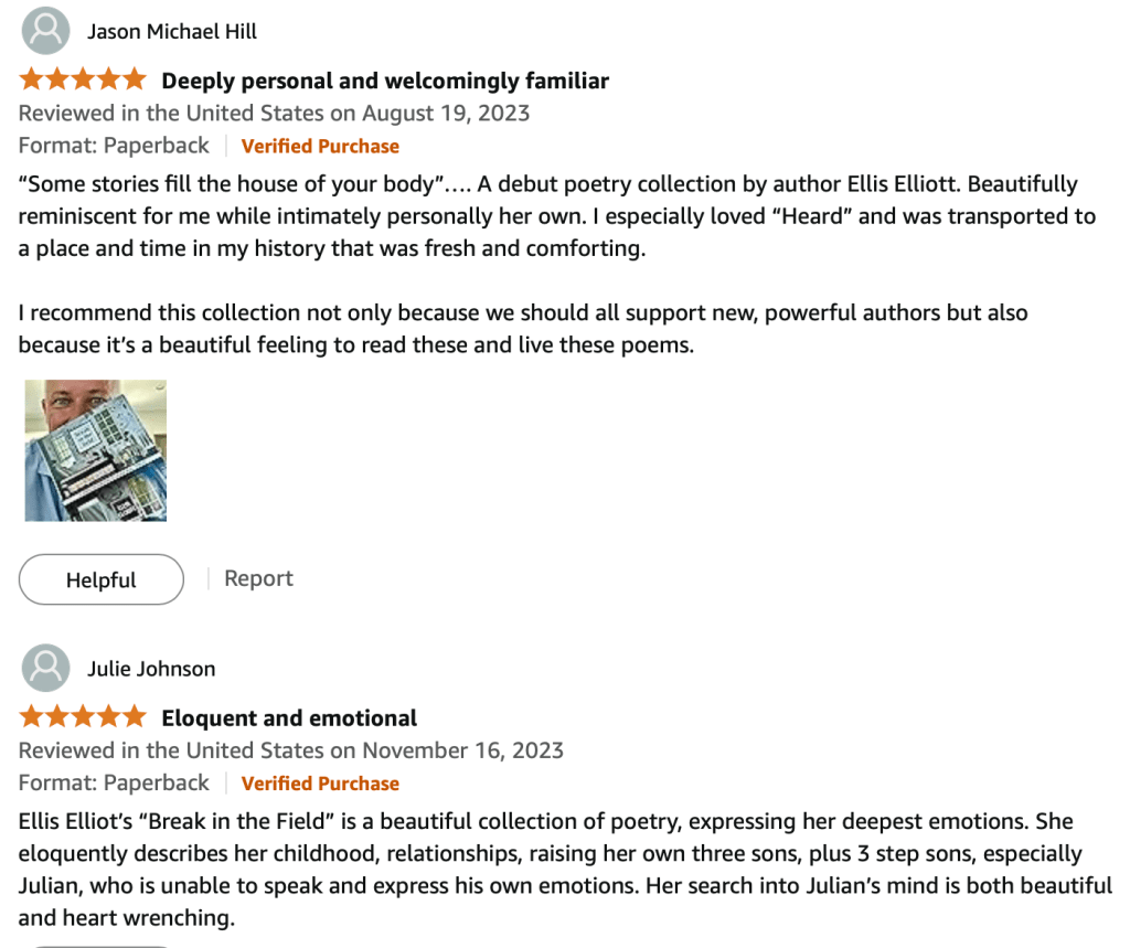 Cover image of the poetry collection 'Break in the Field' by Ellis Elliott, featuring artistic typography and a nature-themed background.